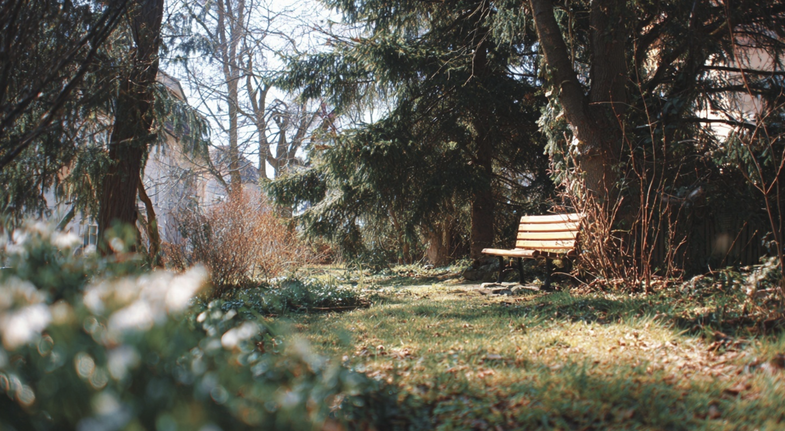 Jak připravit zahradu po zimě